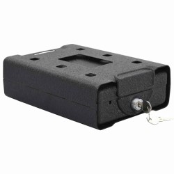 Coffre de voiture avec verrouillage Noir 22 x 16 x 7 cm Acier 519277519277