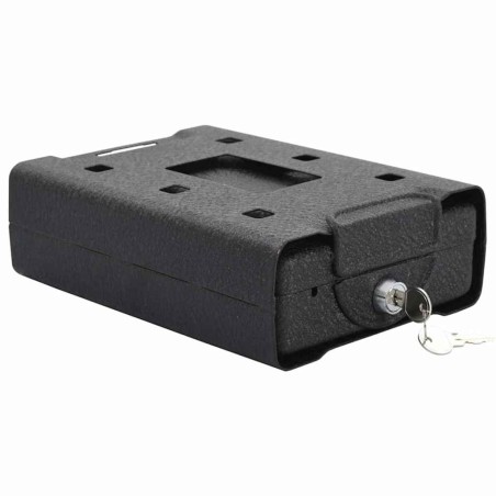 Coffre de voiture avec verrouillage Noir 22 x 16 x 7 cm Acier 519277519277