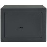Coffre-fort avec verrouillage Gris foncé 23 x 17 x 17 cm Acier 519281519281
