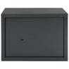 Coffre-fort avec verrouillage Gris foncé 35 x 25 x 25 cm Acier 519304519304