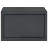 Coffre-fort avec verrouillage Gris foncé 31 x 20 x 20 cm Acier 519336519336
