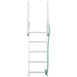Échelle de dock à 5 étapes Argent 58 x 77 x 191 cm Aluminium 519340519340