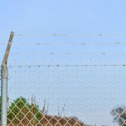 Fil barbelé Argent 50 m Acier Galvanisé à Chaud 519362519362