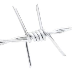 Fil barbelé Argent 50 m Acier Galvanisé à Chaud 519362519362