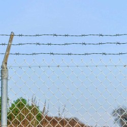 Fil barbelé Vert 50 m Acier Galvanisé à Chaud 519374519374