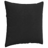 Coussins de canapé 2 pcs Noir 80 x 80 cm 519512519512