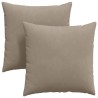 Coussins de canapé 2 pcs Taupe 60 x 60 cm tissu 519515519515