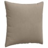 Coussins de canapé 2 pcs Taupe 60 x 60 cm tissu 519515519515