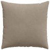 Coussins de canapé 2 pcs Taupe 60 x 60 cm tissu 519515519515