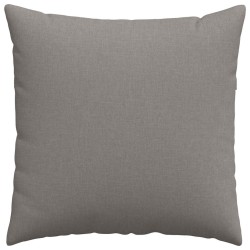 Coussins de canapé 2 pcs Taupe 80 x 80 cm tissu 519518519518