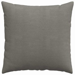 Coussins de canapé 2 pcs Gris clair 60 x 60 cm 519527519527
