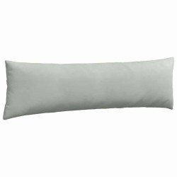 Coussins de canapé 2 pcs Gris clair 145 x 40 cm 519723519723