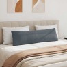 Coussins de canapé 2 pcs Gris foncé 145 x 40 cm 519727519727