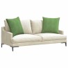 Coussins de canapé 2 pcs Vert clair 60 x 60 cm 519732519732