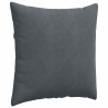 Coussins de canapé 2 pcs Gris foncé 60 x 60 cm 519734519734
