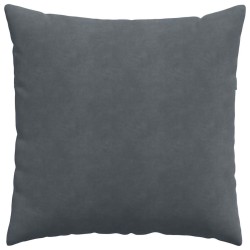 Coussins de canapé 2 pcs Gris foncé 60 x 60 cm 519734519734