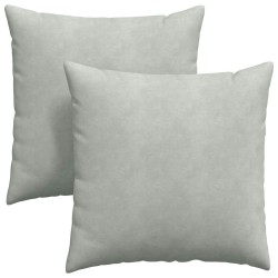 Coussins de canapé 2 pcs Gris clair 60 x 60 cm 519735519735