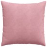 Coussins de canapé 2 pcs Rose 60 x 60 cm 519739519739