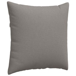 Coussins de canapé 2 pcs Taupe 60 x 60 cm tissu 519744519744