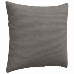 Coussins de canapé 2 pcs Gris clair 50 x 50 cm 519759519759