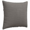 Coussins de canapé 2 pcs Gris clair 50 x 50 cm 519759519759