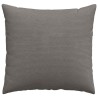 Coussins de canapé 2 pcs Gris clair 50 x 50 cm 519759519759