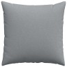Coussins de canapé 2 pcs Gris clair 60 x 60 cm tissu 519763519763