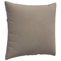 Coussins de canapé 2 pcs Taupe 50 x 50 cm tissu 519764519764