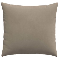 Coussins de canapé 2 pcs Taupe 50 x 50 cm tissu 519764519764