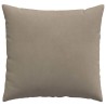 Coussins de canapé 2 pcs Taupe 50 x 50 cm tissu 519764519764