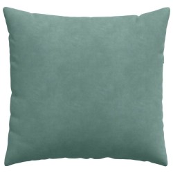Coussins de canapé 2 pcs Vert Mer 50 x 50 cm 519766519766