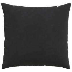 Coussins de canapé 2 pcs Noir 50 x 50 cm 519771519771