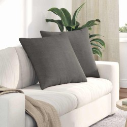 Coussins de canapé 2 pcs Gris clair 80 x 80 cm 519807519807