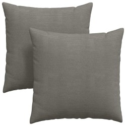 Coussins de canapé 2 pcs Gris clair 80 x 80 cm 519807519807