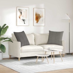 Coussins de canapé 2 pcs Gris clair 80 x 80 cm 519807519807