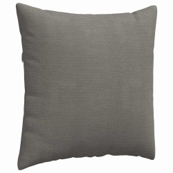 Coussins de canapé 2 pcs Gris clair 80 x 80 cm 519807519807