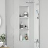 Niche de Douche Blanc 90 x 30 x 9,5 cm Acier inoxydable 519873519873
