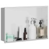 Niche de Douche Argenté 45 x 30 x 9,5 cm Acier inoxydable 519892519892