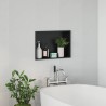 Niche de Douche Noir 45 x 30 x 9,5 cm Acier inoxydable 519893519893