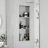Niche de Douche Argenté 90 x 30 x 9,5 cm Acier inoxydable 519907519907