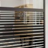 Porte en verre Rayé Noir 102,5 x 2 x 205 cm Aluminium 519923519923