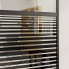 Porte en verre Rayé Noir 90 x 2 x 205 cm Aluminium 519938519938
