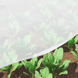 Filet Anti-insectes Blanc 3 x 25 m Polyéthylène 519980519980