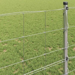 Clôture de prairie Argenté 50 x 0,8 m Acier galvanisé 520593520593