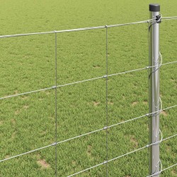 Clôture de prairie Argenté 50 x 1,2 m Acier galvanisé 520609520609