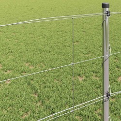 Clôture de prairie Argenté 25 x 0,8 m Acier galvanisé 520626520626