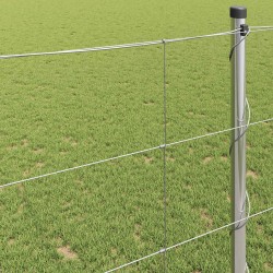 Clôture de prairie Argenté 25 x 1,2 m Acier galvanisé 520630520630
