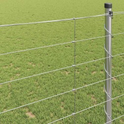 Clôture de prairie Argenté 25 x 1,2 m Acier galvanisé 520637520637
