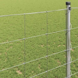 Clôture de prairie Argenté 25 x 1,2 m Acier galvanisé 520638520638