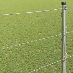 Clôture de prairie Argenté 50 x 1,4 m Acier galvanisé 520674520674